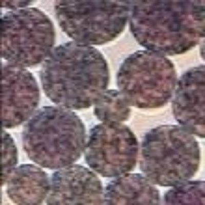 Kualitas  5 mL NHS Activated Magnetic Beads Preactivated N - Hydroxy Succinimide Nanoparticle pabrik