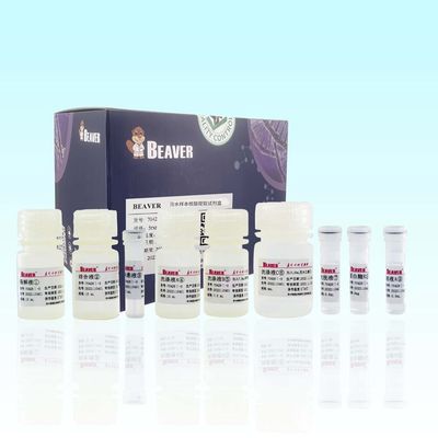 Kit Asam Nukleat Air Limbah BeaverBeads Deteksi Air Limbah Medis