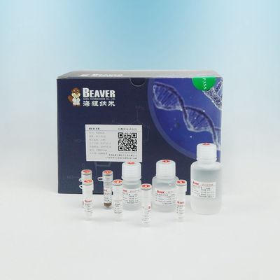 Extraction Beaver Beads Circulating DNA Kit Mendukung OEM