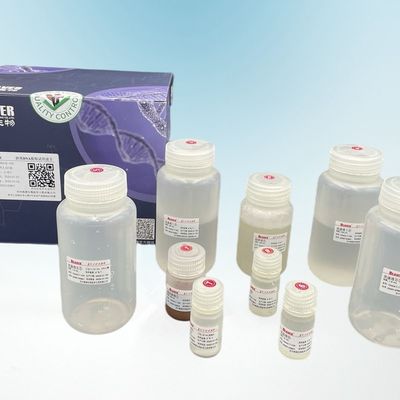Beaver Beads Beredar Kit Ekstraksi DNA Untuk Diagnosis Prenatal Dan Skrining Tumor