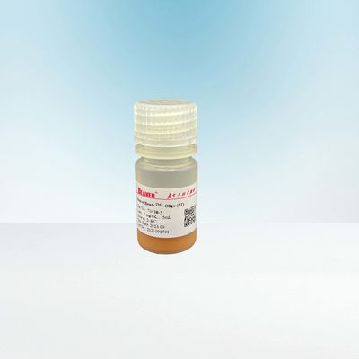100mL 2.8 μM Oligo DT Magnetic Beads DNA Library Construction Kit FDA