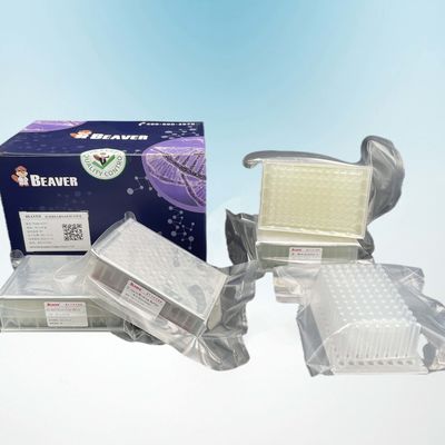 BeaverBeads Viral DNA RNA Kit 96 FU Untuk Pengujian Genetik