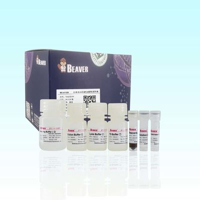 Kit DNA Darah BeaverBeads Untuk Ekstrak DNA Kemurnian Tinggi