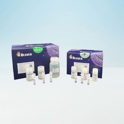 Rapidly BeaverBeads Blood DNA Kit Untuk Penggunaan Laboratorium