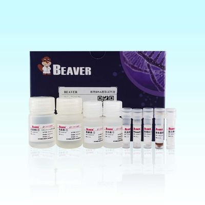 Kit DNA Tanaman BeaverBeads Untuk Ekstraksi Cepat Dan Efisien Dalam Penelitian Ilmiah