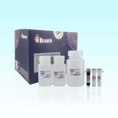 100 Rxns BeaverBeads Animal Viral DNA RNA Kit Untuk Throughput Otomatis Dan Tinggi