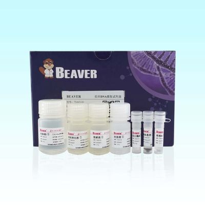 BeaverBeads Tissue DNA Kit 20 Rxns Kemurnian Tinggi Untuk Ekstraksi