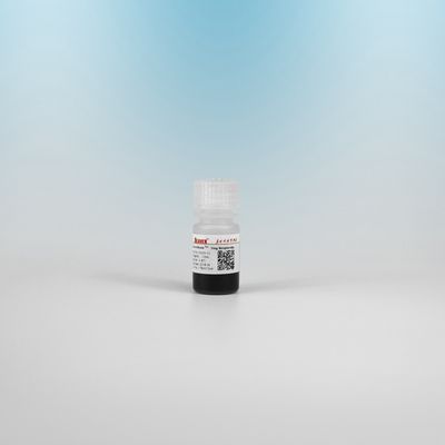 2,8 μM BeaverBeads Streptavidin Untuk Immunoassay Dan Tangkap