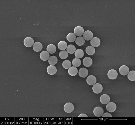 200 Nm Streptavidin Biotinylated Antibodi Dengan Efektif Untuk Immunoassay