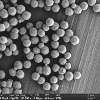 100 ML Streptavidin 300 Nm Menggabungkan Probe Asam Nukleat Biologis Dalam Hibridisasi Untuk Cepat