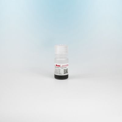 BeaverBeads DEAE Magnetic Beads Pemurnian Protein Dengan Respon Magnetik Cepat