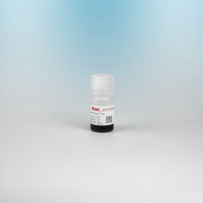 BEAVER GST Fusi protein pemurnian manik-manik GSH Magnetic Manik-manik Pemurnian Protein Bahan Fungsional Baru