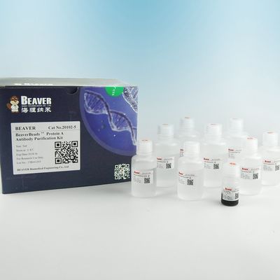 BEAVER GST Fusi protein pemurnian manik-manik GSH Magnetic Manik-manik Pemurnian Protein Bahan Fungsional Baru