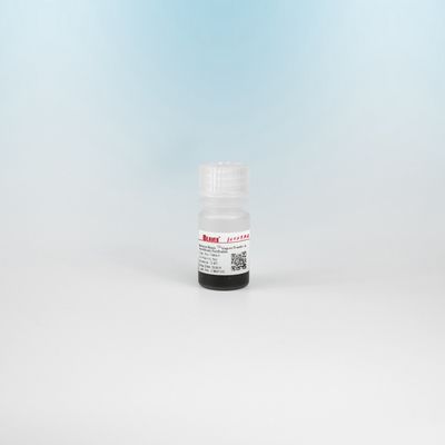 Covalent Binding Protein A NHS Aktifkan Superparamagnetic Beads