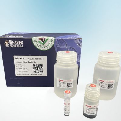 BeaverBeads Magrose Strep Tactin dengan kemurnian tinggi digunakan dalam penelitian berikutnya