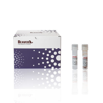 60 mL Reagen Kit Isolasi DNA Untuk Memilih Fragmen DNA