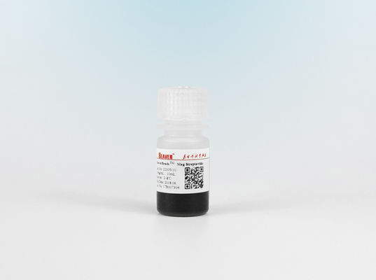 Manik-manik Magnetik Streptavidin 1μm Untuk Pengambilan Probe Penyortiran Sel Chemiluminescence