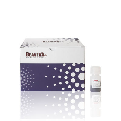 50% Rasio Volume 10 ml Agarose OH Magbeads Protein Purifikasi Ekstraksi dan pemurnian asam nukleat