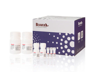 Viral DNA RNA Kit Untuk Sampel Ekstraksi Plasma Dan Serum Segar Atau Beku