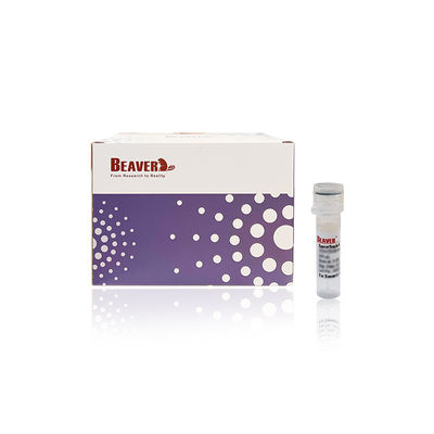 BEAVER GST Fusi protein pemurnian manik-manik GSH Magnetic Manik-manik Pemurnian Protein Bahan Fungsional Baru