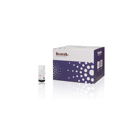 BEAVER GST Fusi protein pemurnian manik-manik GSH Magnetic Manik-manik Pemurnian Protein Bahan Fungsional Baru
