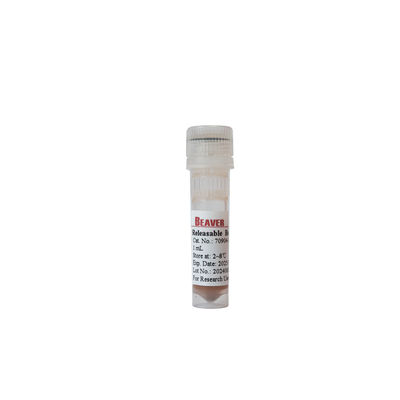 BEAVER GST Fusi protein pemurnian manik-manik GSH Magnetic Manik-manik Pemurnian Protein Bahan Fungsional Baru
