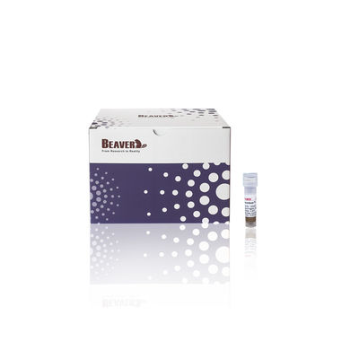 BeaverBeads® Anti-HA Magnetic Beads HA Tag Protein Purification Magnetic Beads 0,5 ml/1 ml/5 ml HA-Protein Beads