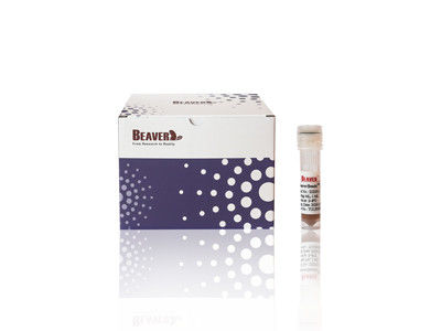 100mL BeaverBeads IDA-Co Dengan High Throughput Dan Biaya Rendah 30-150um 10% Konsentrasi