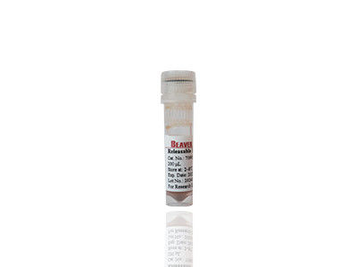 Mag OH Magnetic Beads Ekstraksi DNA Silika Magnetic Beads Fe3O4 1μm 10 mg / mL 50 mL