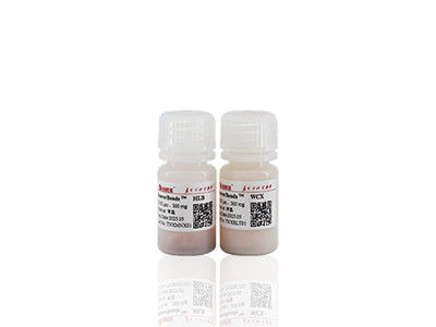 Mag COOH Magnetic Beads Polymer Carboxyl Magnetic Beads Immunodiagnosis Magnetic Beads 2μm 10 mg / mL 50 mL