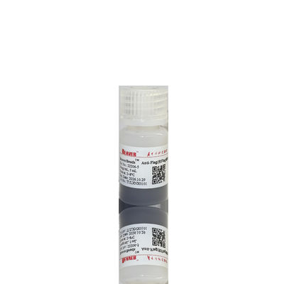 Biji polimer magnetik kelas imunoassay, ukuran 1μm 5mL