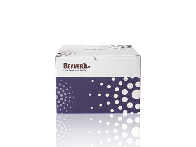Kit Ekstraksi RNA Darah BeaverBeads Dengan Kompatibilitas Tinggi