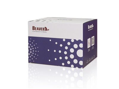 30-150 Mikron Magnetic Beads Pemurnian Protein Sampel Gratis