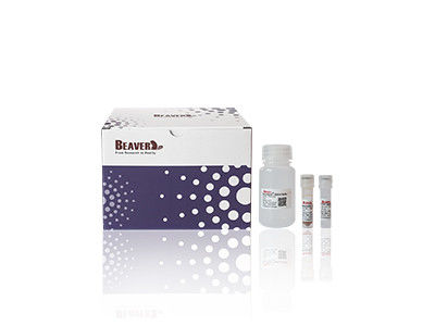 Kit DNA Tanaman BeaverBeads Untuk Ekstraksi Cepat Dan Efisien Dalam Penelitian Ilmiah