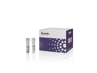 20 Rxns BeaverBeads Animal Viral DNA RNA Kit Untuk Penelitian Ilmiah