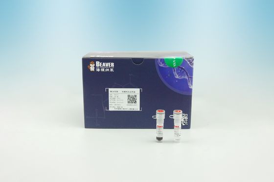 BeaverBeads™ DNA Select Isolation NGS Purification PCR Purification Super Paramagnetic Beads Kit