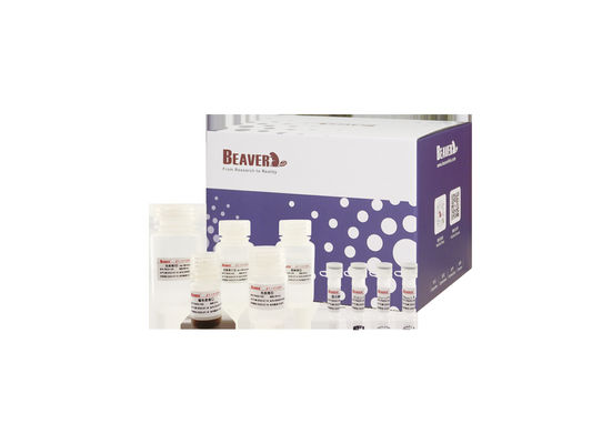 BeaverBeadsTM DNA / RNA Ekstraksi Asam Nukleat Darah Manik Manik Kits Ekstraksi Genom Ekstraksi RNA Kit Genomik
