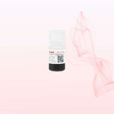 BeaverBeads 1um/2um/5um/300nm/2.8um/3um Streptavidin Magnetic Beads Untuk Chemiluminescence Dan Deteksi Asam Nukleat