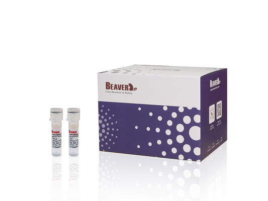 BeaverBeads™ Kit Asam Nukleat Reagen Pemurnian PCR Untuk Pemulihan DNA Dan Penghilangan Kotoran Dari Produk PCR
