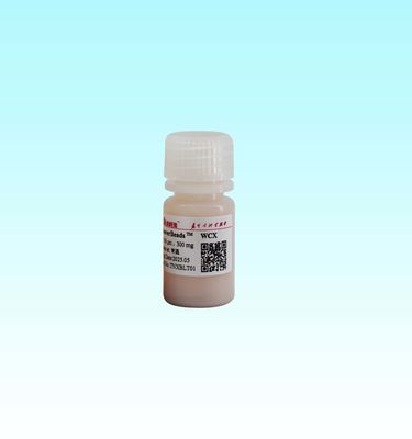Butiran Magnetik WCX Inti Polimer 15-50μm dengan Inti Magnetik Fe3O4 dan Luas Permukaan Spesifik Tinggi 700-850 M2/g