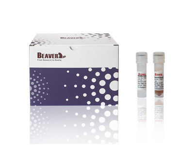 BeaverBeads Mouse CD4 Cell Isolation Kit CE Bersertifikat Untuk Penelitian Laboratorium