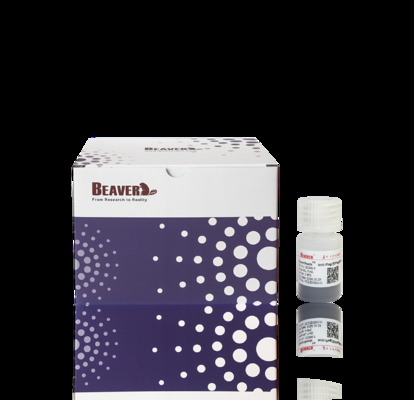 BeaverBeads Anti-HA manik manik