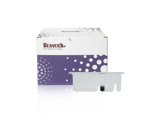 BeaverBeads Total Aflatoxin Purification Kit Dengan Metode Fe3O4 Magnetic Beads