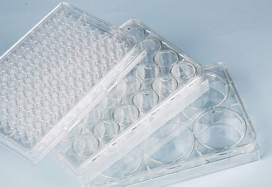Suspension Cell Culture 6-Well Plate untuk Sel termasuk hMSC