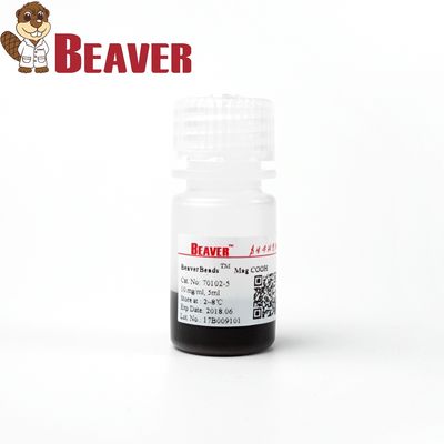 cfDNA Extraction Silica Magnetic Beads 500nm 10 mg/mL 5 mL