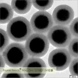 Viral RNA Extraction Silica Magnetic Beads 500nm 10 mg / mL 50 mL