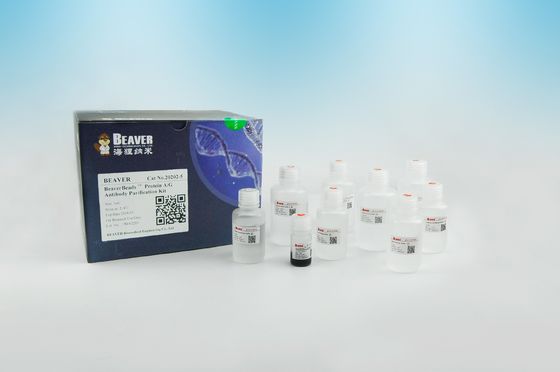 Protein A/G Antibody Magnetic Beads Pemurnian Protein 2μm 30 mg / mL 5 mL