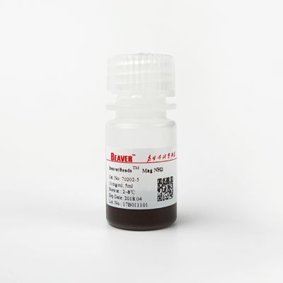 Silica Amino Magnetic Beads Untuk Pemurnian Protein 500nm 10 mg / mL 5 mL