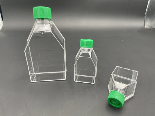 Vent Cap Cell Culture Consumables 25cm2 TCT Flask Steril