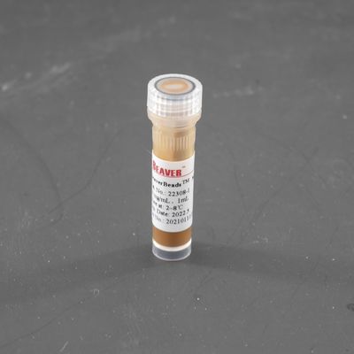 Manik-manik Magnetik Streptavidin 300nm Untuk Probe Penyortiran Sel Tangkap 10 mg / mL 1 mL